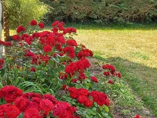Large Holiday Home With Garden In Brittany Henansal France